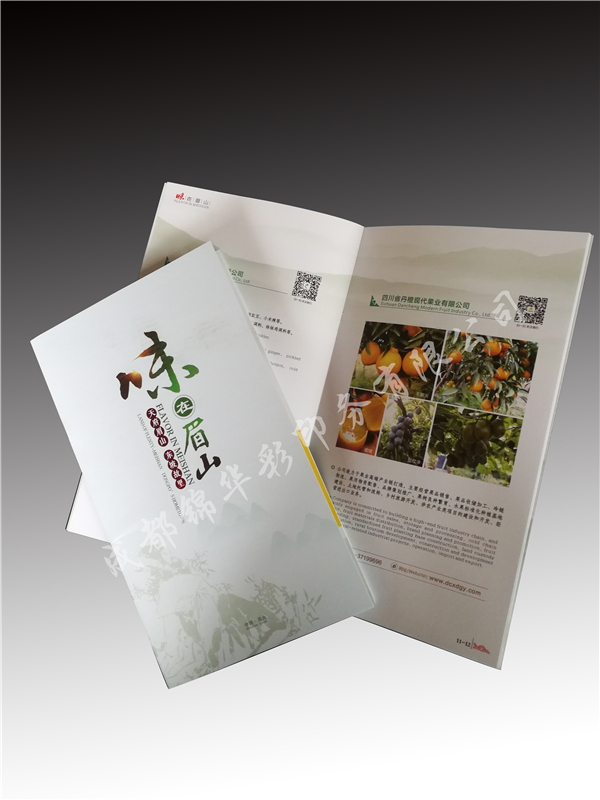 畫(huà)冊