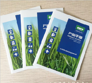 畫(huà)冊印刷案例